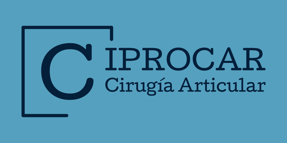 Logo CIPROCAR